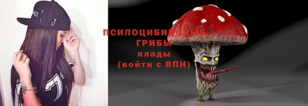 дмт Иннополис