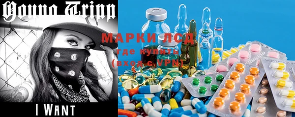 PSILOCYBIN Инта